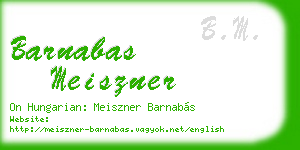 barnabas meiszner business card