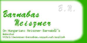 barnabas meiszner business card